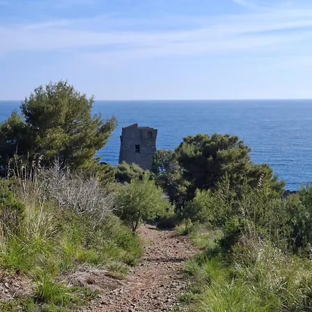 Dom wakacyjny Giusy Marina di Camerota
