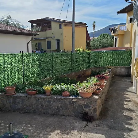 Giusy